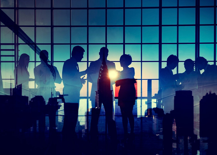 Networking and Mentorship